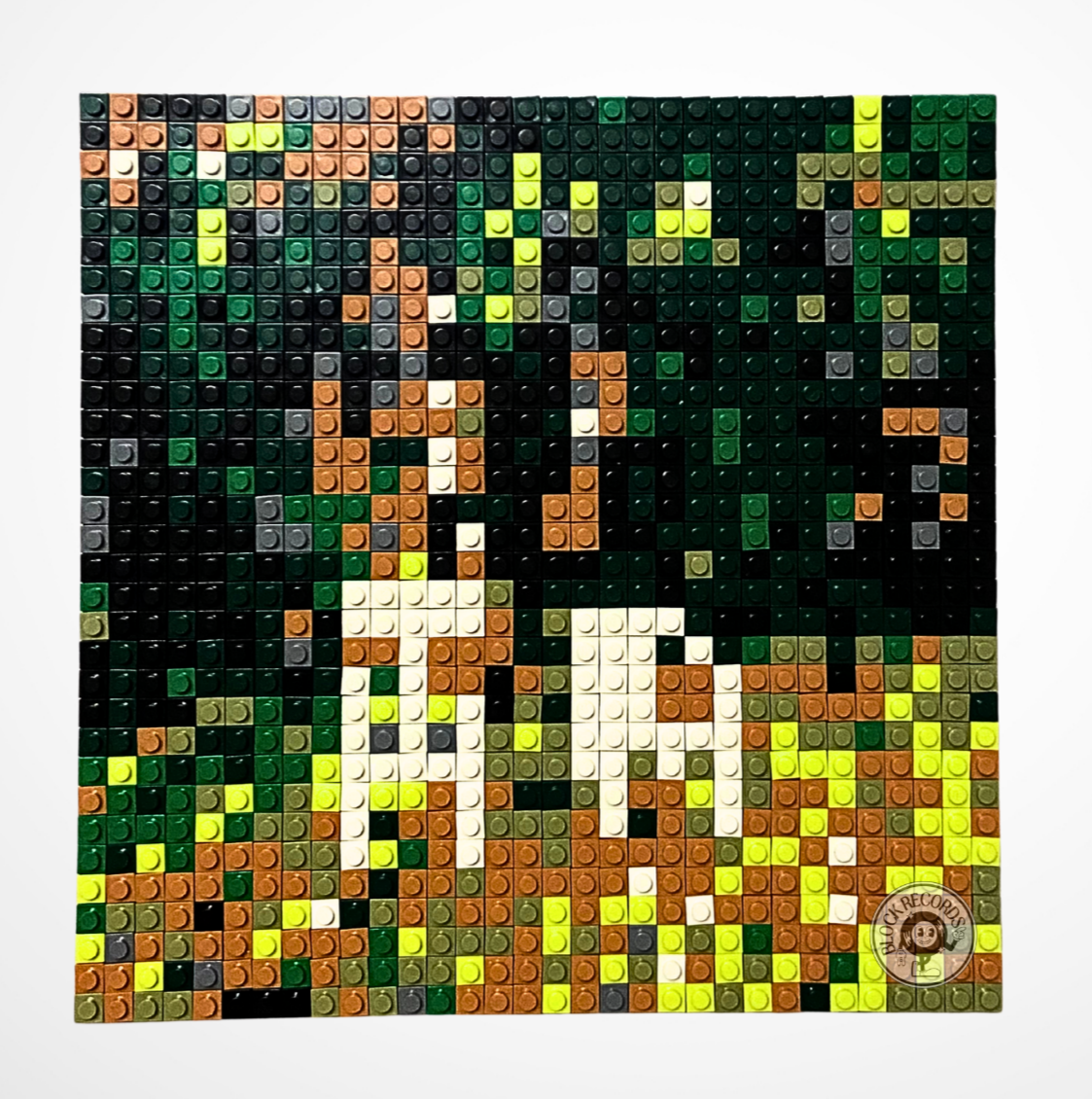 NUEVAYoL Kit de Construcción